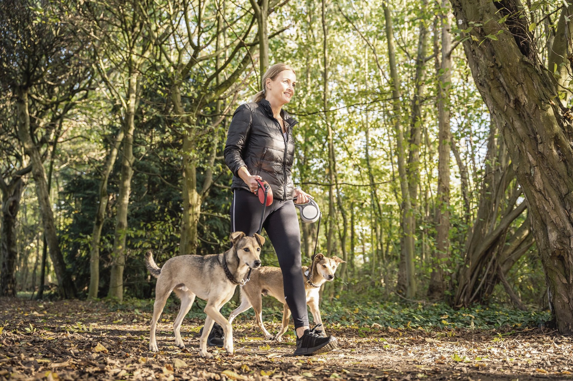 Eine Frau geht mit zwei Hunden spazieren