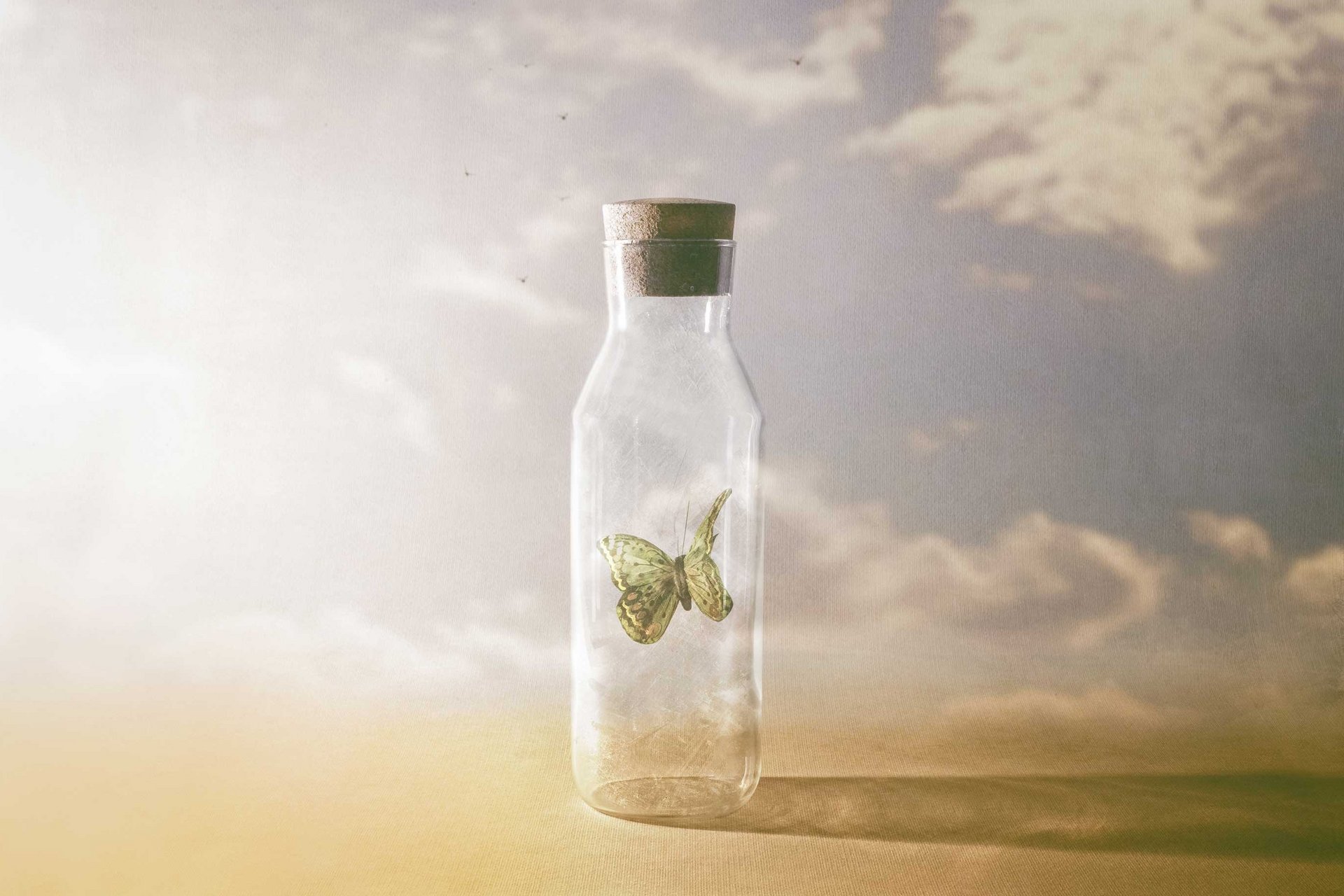 Schmetterling in einem geschlossenen Glas, um die Denkstörung zu symbolisieren