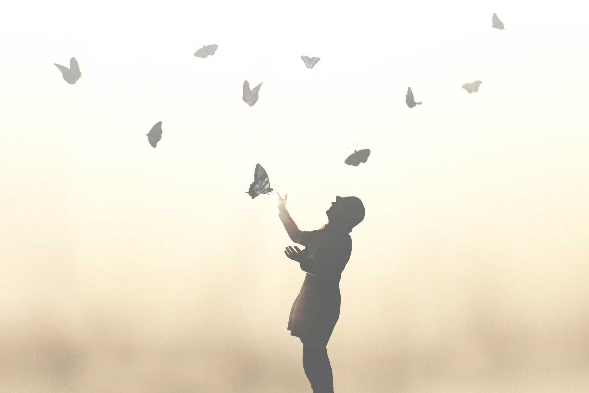 Eine Person lässt ein knappes Dutzend Schmetterlinge frei fliegen und erfreut sich daran.