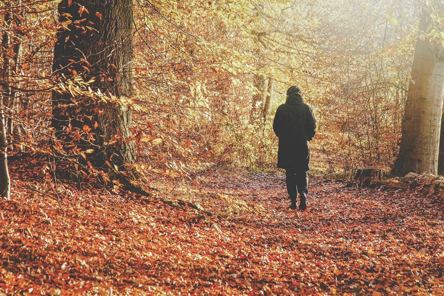 Eine Person läuft durch den Wald.