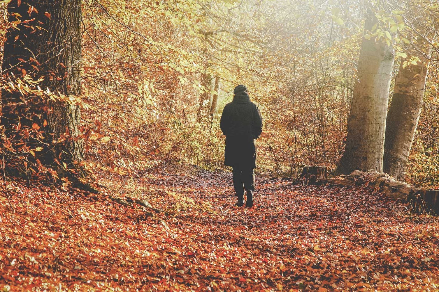 Ein Patient spaziert entspannt durch den laub bedeckten, ruhigen Wald.