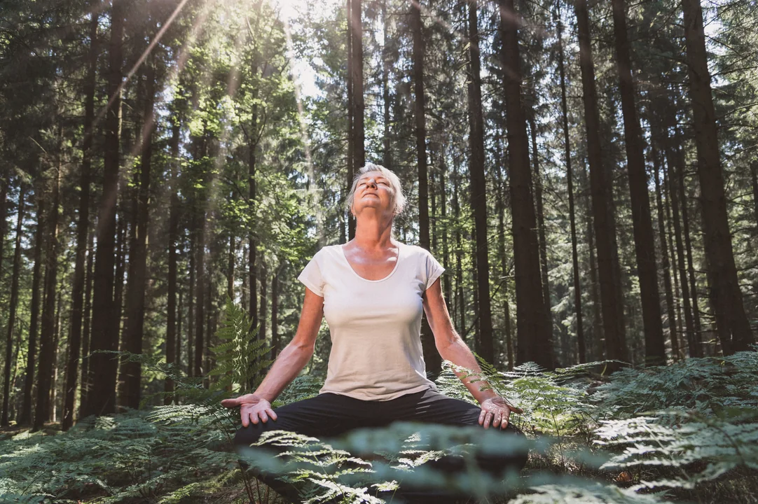 frau-im-wald-macht-yoga-highres