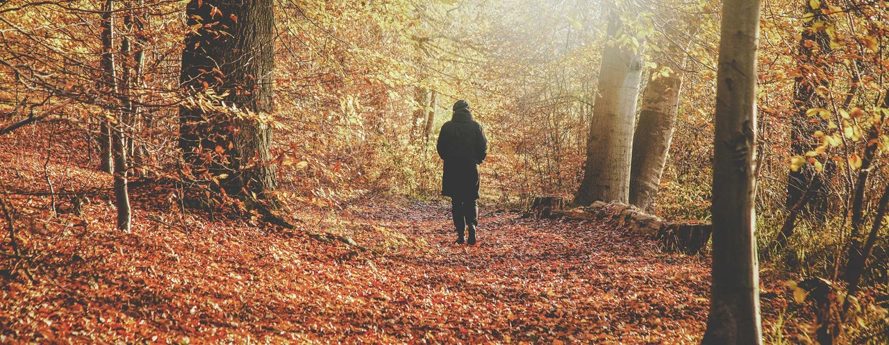 frau steht im wald