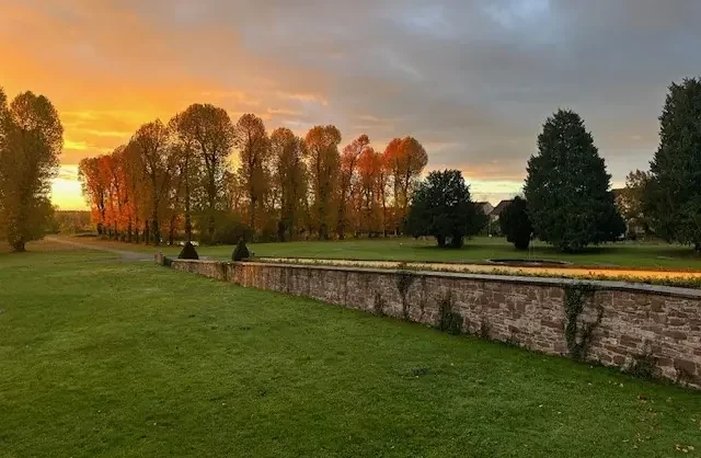 herbstlicher sonnenuntergang park baeume steinmauer gruene wiese 1 e1779259542644