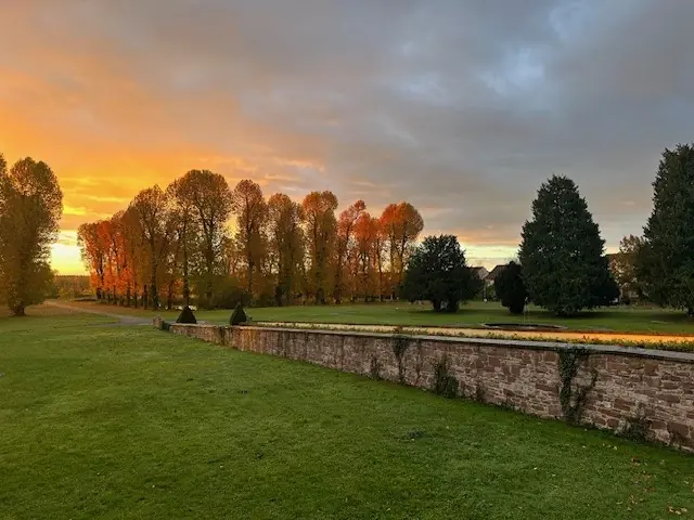 herbstlicher sonnenuntergang park baeume steinmauer gruene wiese 1