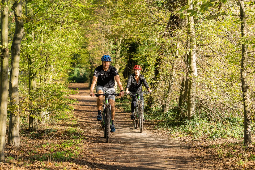 mountainbike-paar-waldweg-herbst-radtour
