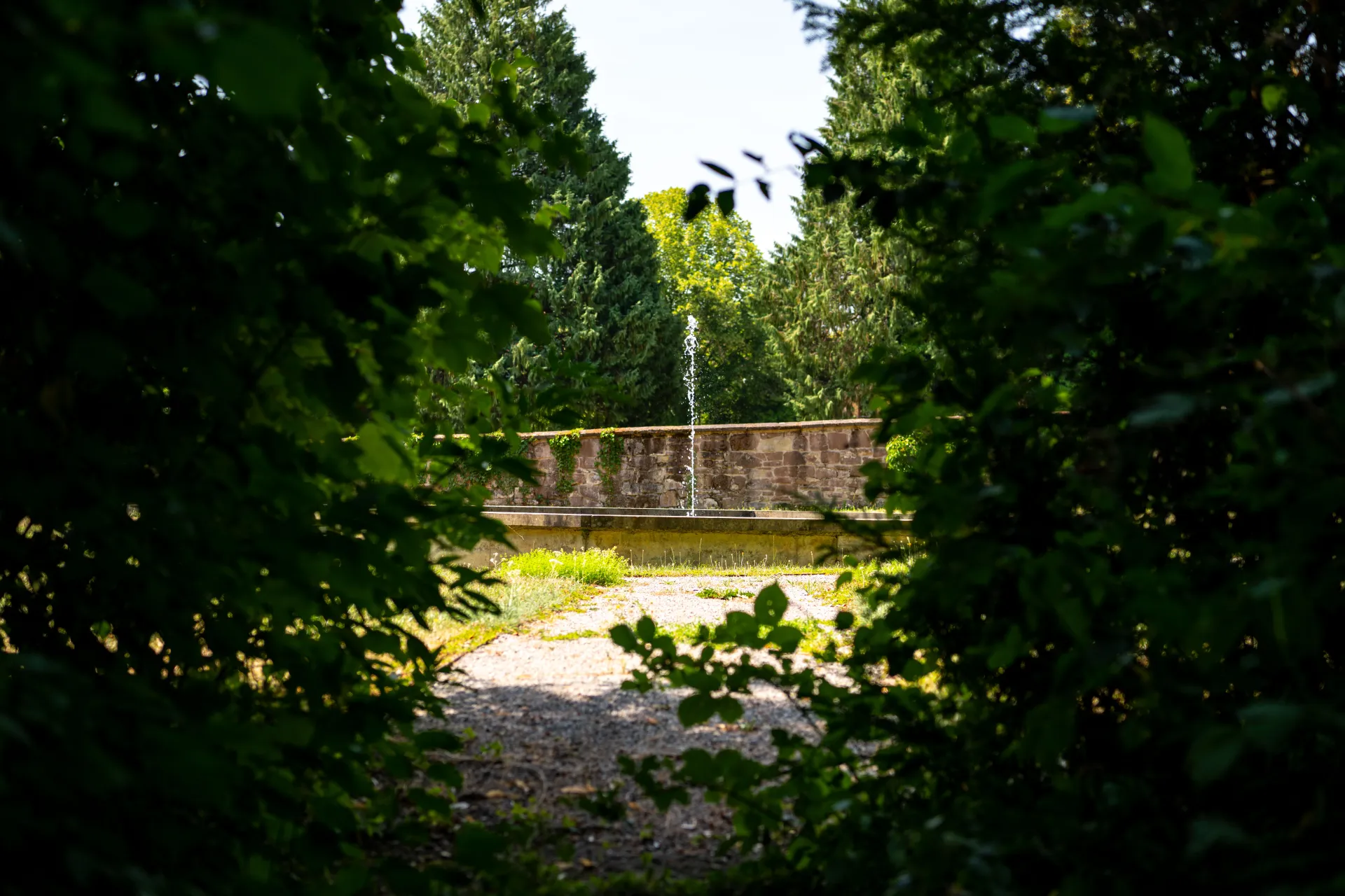 Blick durch dichtes Grün in den sonnigen Schlosspark von Schloss Freudental